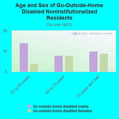 Age and Sex of Go-Outside-Home Disabled Noninstitutionalized Residents