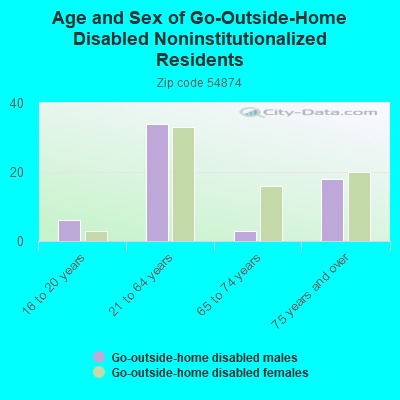 Age and Sex of Go-Outside-Home Disabled Noninstitutionalized Residents