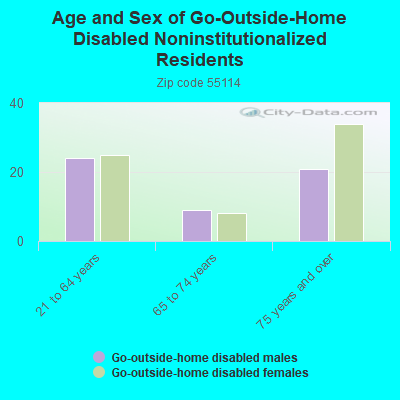 Age and Sex of Go-Outside-Home Disabled Noninstitutionalized Residents