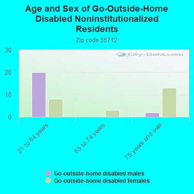 Age and Sex of Go-Outside-Home Disabled Noninstitutionalized Residents