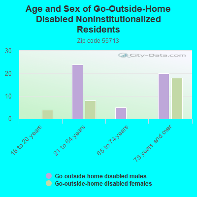 Age and Sex of Go-Outside-Home Disabled Noninstitutionalized Residents