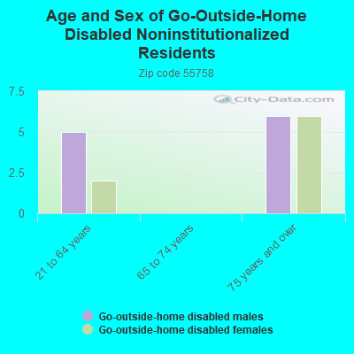 Age and Sex of Go-Outside-Home Disabled Noninstitutionalized Residents