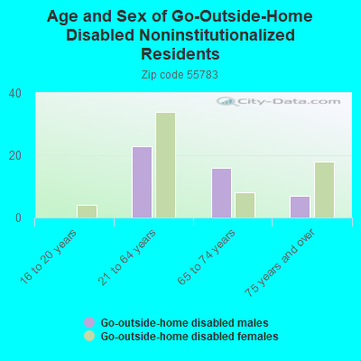 Age and Sex of Go-Outside-Home Disabled Noninstitutionalized Residents