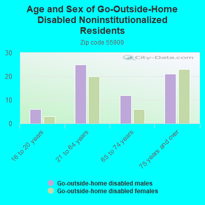 Age and Sex of Go-Outside-Home Disabled Noninstitutionalized Residents