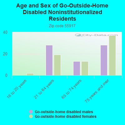 Age and Sex of Go-Outside-Home Disabled Noninstitutionalized Residents