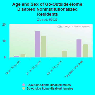 Age and Sex of Go-Outside-Home Disabled Noninstitutionalized Residents