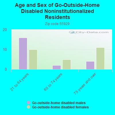 Age and Sex of Go-Outside-Home Disabled Noninstitutionalized Residents