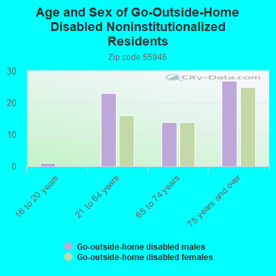 Age and Sex of Go-Outside-Home Disabled Noninstitutionalized Residents