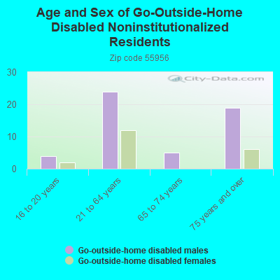 Age and Sex of Go-Outside-Home Disabled Noninstitutionalized Residents