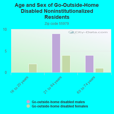 Age and Sex of Go-Outside-Home Disabled Noninstitutionalized Residents