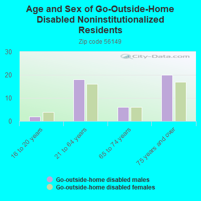 Age and Sex of Go-Outside-Home Disabled Noninstitutionalized Residents