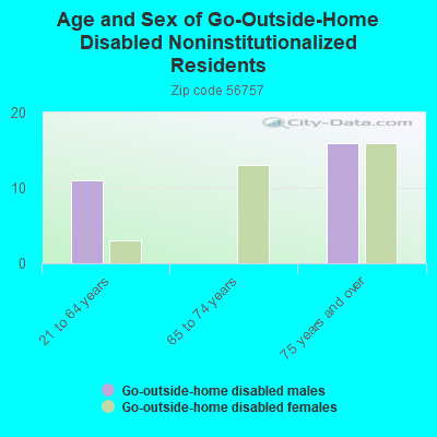 Age and Sex of Go-Outside-Home Disabled Noninstitutionalized Residents