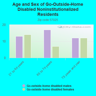 Age and Sex of Go-Outside-Home Disabled Noninstitutionalized Residents