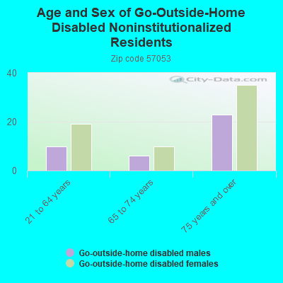 Age and Sex of Go-Outside-Home Disabled Noninstitutionalized Residents