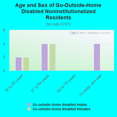 Age and Sex of Go-Outside-Home Disabled Noninstitutionalized Residents