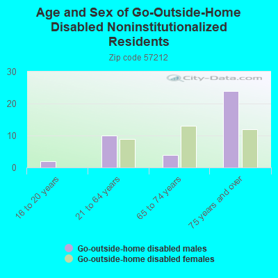 Age and Sex of Go-Outside-Home Disabled Noninstitutionalized Residents