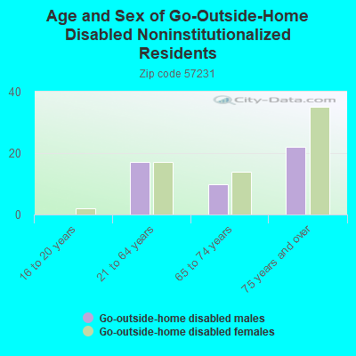 Age and Sex of Go-Outside-Home Disabled Noninstitutionalized Residents