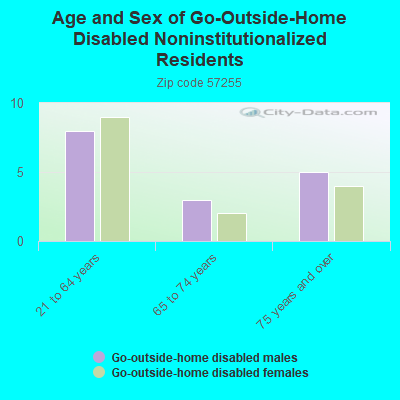 Age and Sex of Go-Outside-Home Disabled Noninstitutionalized Residents