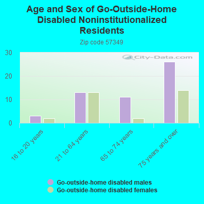 Age and Sex of Go-Outside-Home Disabled Noninstitutionalized Residents