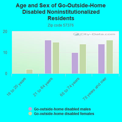 Age and Sex of Go-Outside-Home Disabled Noninstitutionalized Residents