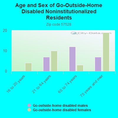 Age and Sex of Go-Outside-Home Disabled Noninstitutionalized Residents