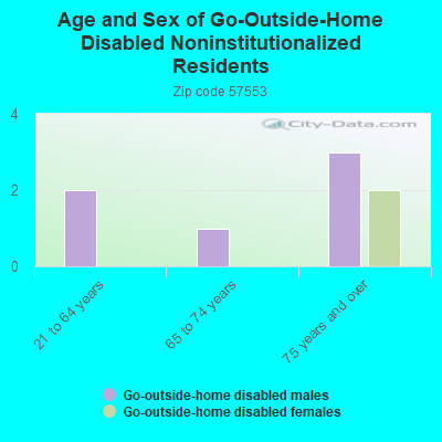 Age and Sex of Go-Outside-Home Disabled Noninstitutionalized Residents