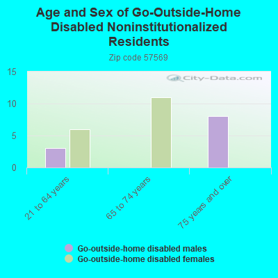 Age and Sex of Go-Outside-Home Disabled Noninstitutionalized Residents