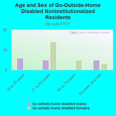 Age and Sex of Go-Outside-Home Disabled Noninstitutionalized Residents