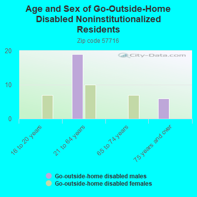 Age and Sex of Go-Outside-Home Disabled Noninstitutionalized Residents