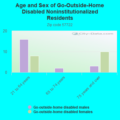 Age and Sex of Go-Outside-Home Disabled Noninstitutionalized Residents