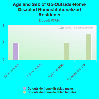 Age and Sex of Go-Outside-Home Disabled Noninstitutionalized Residents