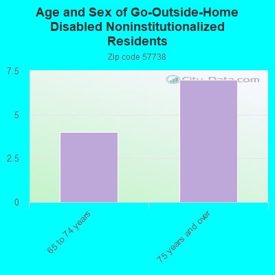 Age and Sex of Go-Outside-Home Disabled Noninstitutionalized Residents