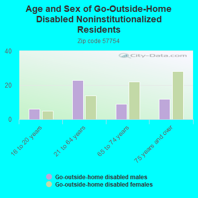 Age and Sex of Go-Outside-Home Disabled Noninstitutionalized Residents