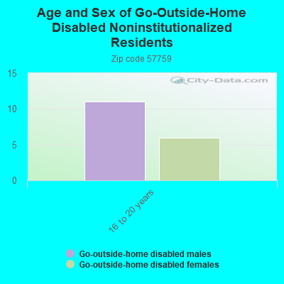 Age and Sex of Go-Outside-Home Disabled Noninstitutionalized Residents