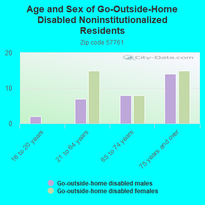 Age and Sex of Go-Outside-Home Disabled Noninstitutionalized Residents