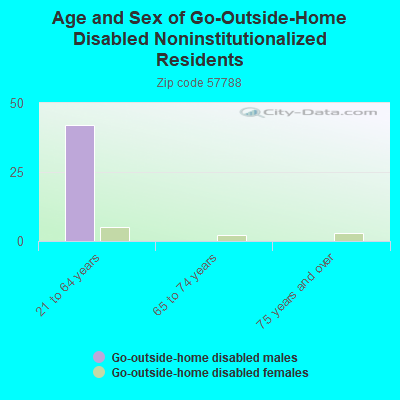 Age and Sex of Go-Outside-Home Disabled Noninstitutionalized Residents