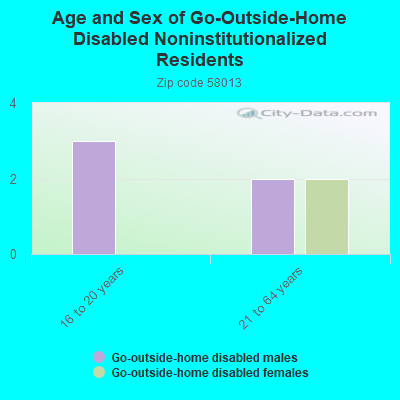 Age and Sex of Go-Outside-Home Disabled Noninstitutionalized Residents