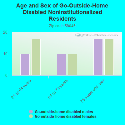 Age and Sex of Go-Outside-Home Disabled Noninstitutionalized Residents