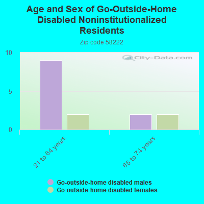 Age and Sex of Go-Outside-Home Disabled Noninstitutionalized Residents