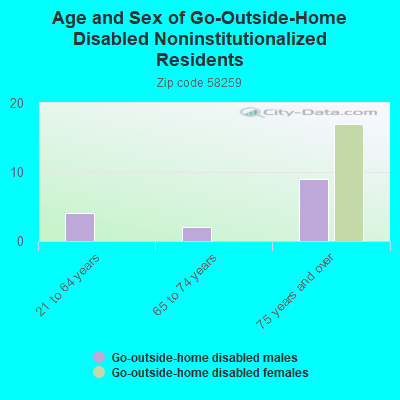 Age and Sex of Go-Outside-Home Disabled Noninstitutionalized Residents