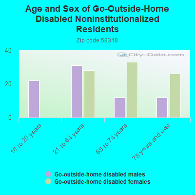 Age and Sex of Go-Outside-Home Disabled Noninstitutionalized Residents