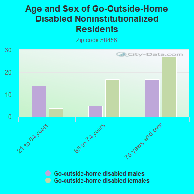 Age and Sex of Go-Outside-Home Disabled Noninstitutionalized Residents