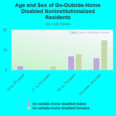 Age and Sex of Go-Outside-Home Disabled Noninstitutionalized Residents