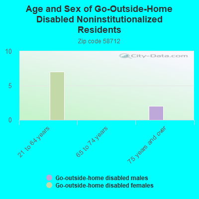 Age and Sex of Go-Outside-Home Disabled Noninstitutionalized Residents