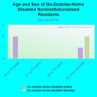 Age and Sex of Go-Outside-Home Disabled Noninstitutionalized Residents