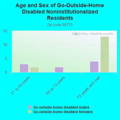 Age and Sex of Go-Outside-Home Disabled Noninstitutionalized Residents