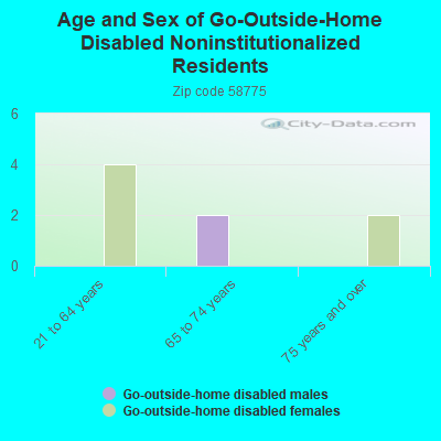 Age and Sex of Go-Outside-Home Disabled Noninstitutionalized Residents