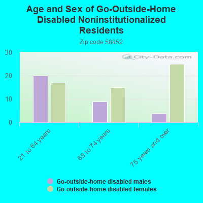 Age and Sex of Go-Outside-Home Disabled Noninstitutionalized Residents