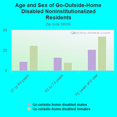 Age and Sex of Go-Outside-Home Disabled Noninstitutionalized Residents