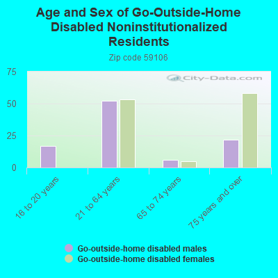 Age and Sex of Go-Outside-Home Disabled Noninstitutionalized Residents